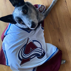 Meet your Posher, SC